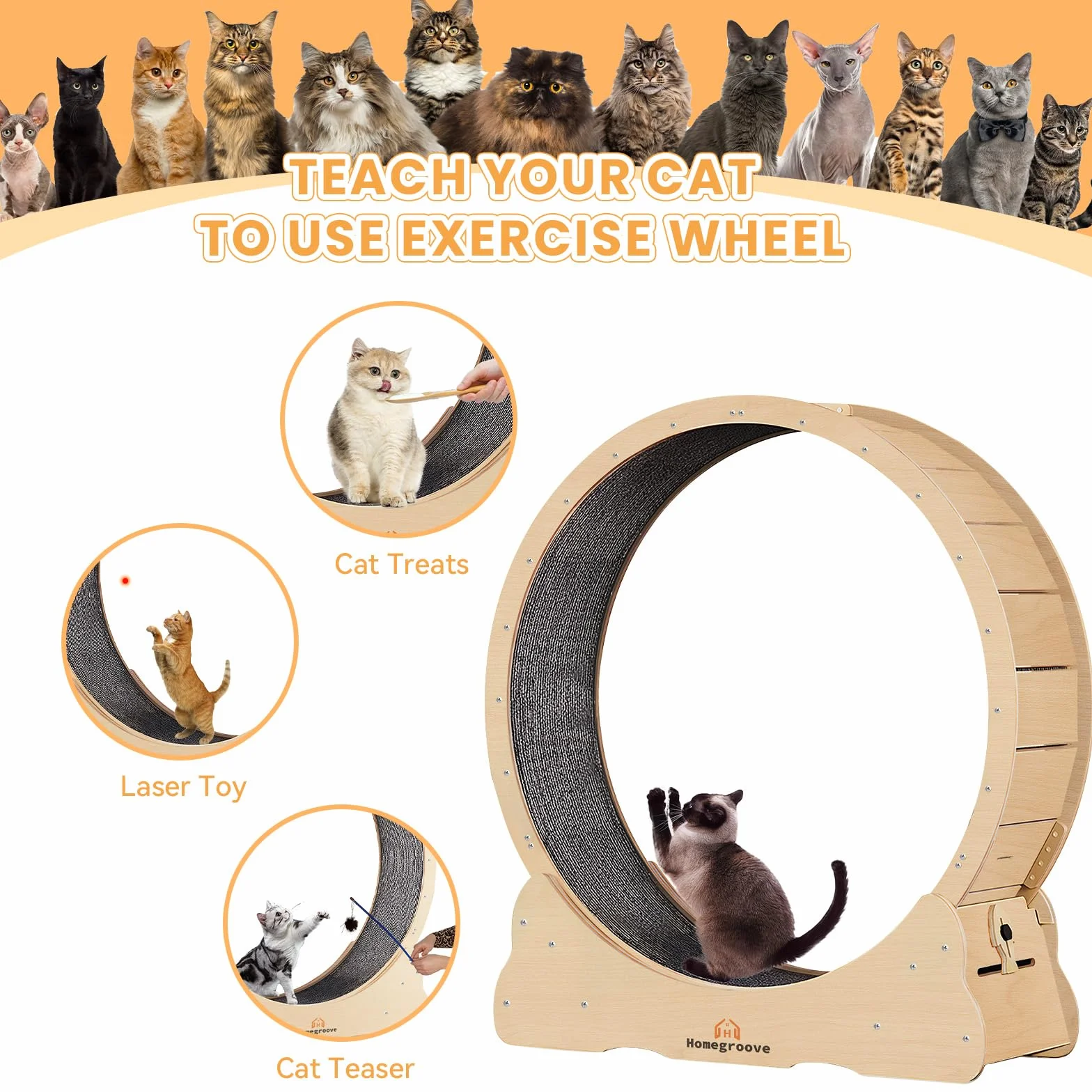 homegroove Pet Exercise Wheel