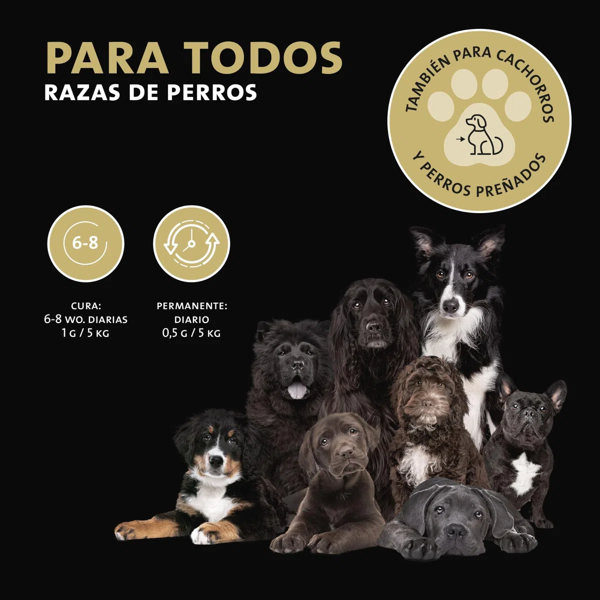 Peticare Perros Prebiótico y Probiótico - Fortalecer Sistema Inmunológico, Restauración Tripas, Construir Flora Intestinal, Alivia Susceptibilidad Alergias y Picores - petDog Health 2501