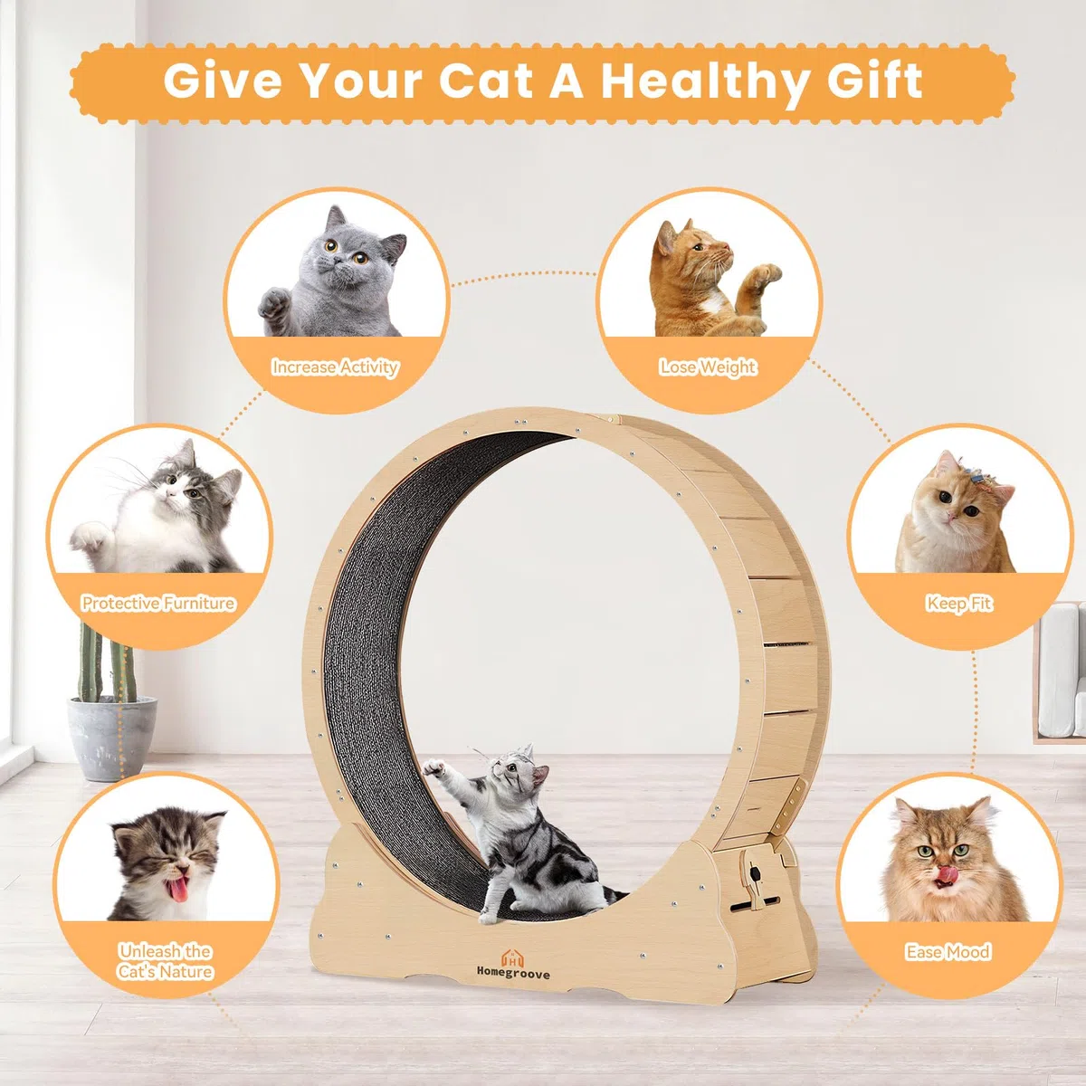 homegroove Pet Exercise Wheel