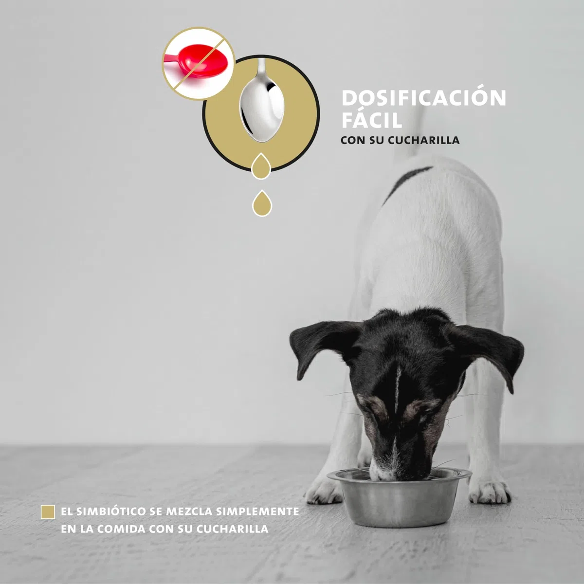 Peticare Perros Prebiótico y Probiótico - Fortalecer Sistema Inmunológico, Restauración Tripas, Construir Flora Intestinal, Alivia Susceptibilidad Alergias y Picores - petDog Health 2501