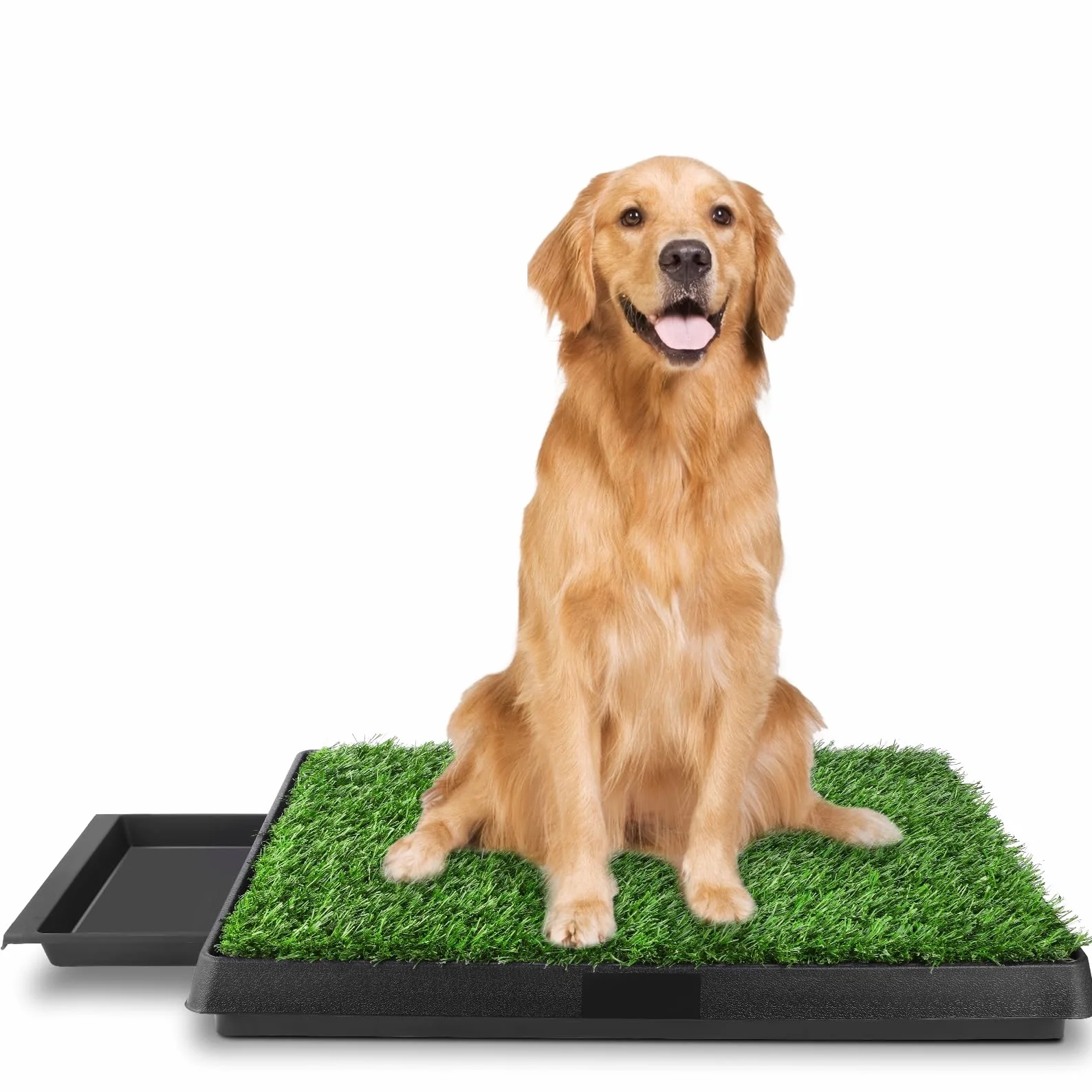 Inodoro para Perros, Inodoro para Cachorros Dos Piezas de césped 63 x 50 cm Grande 1 Pieza