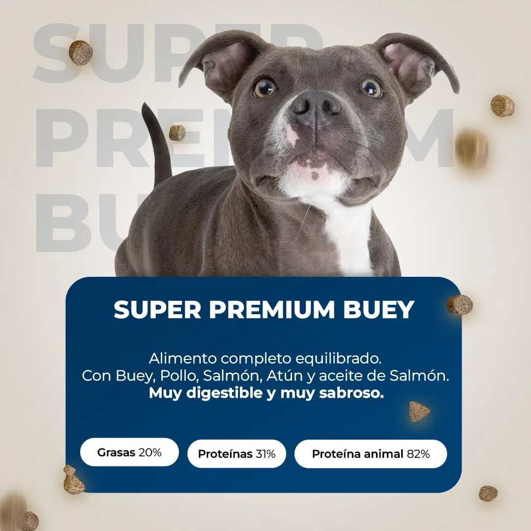 Pienso Super Premium Buey - Alimento para Perros Adultos con Buey, Pollo, Salmón, Atún y Aceite de Salmón - Natural - Sin Gluten - Actividad Alta - Lobo Azul