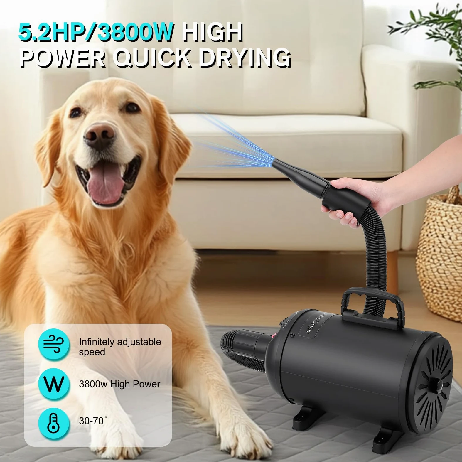 Secador de Pelo de Perro Blaster 5.2 CV / 3800 W, Profesional Secador de Pelo para Mascotas con 4 Boquillas, Velocidad y Calor Ajustables