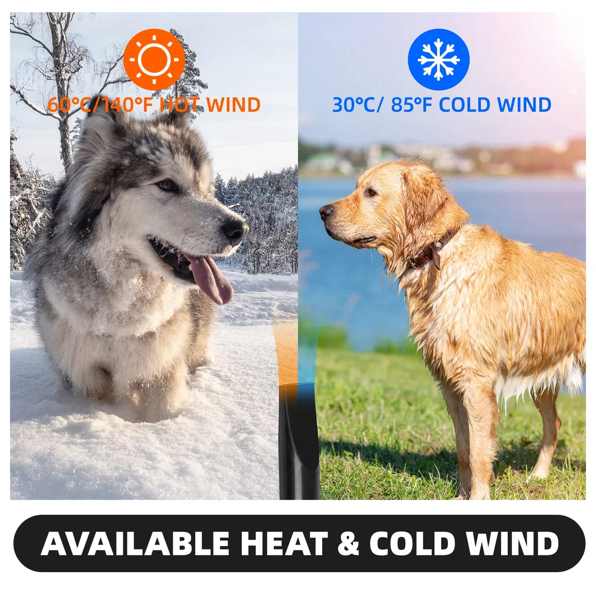 Secador de Pelo Para Perros, 2800 W Low Noise Mascotas Secador Soplador de pelo de Velocidad Continua y Temperatura Ajustable, Profesional Secador Perro con 4 boquillas y manguera larga (Blanco)