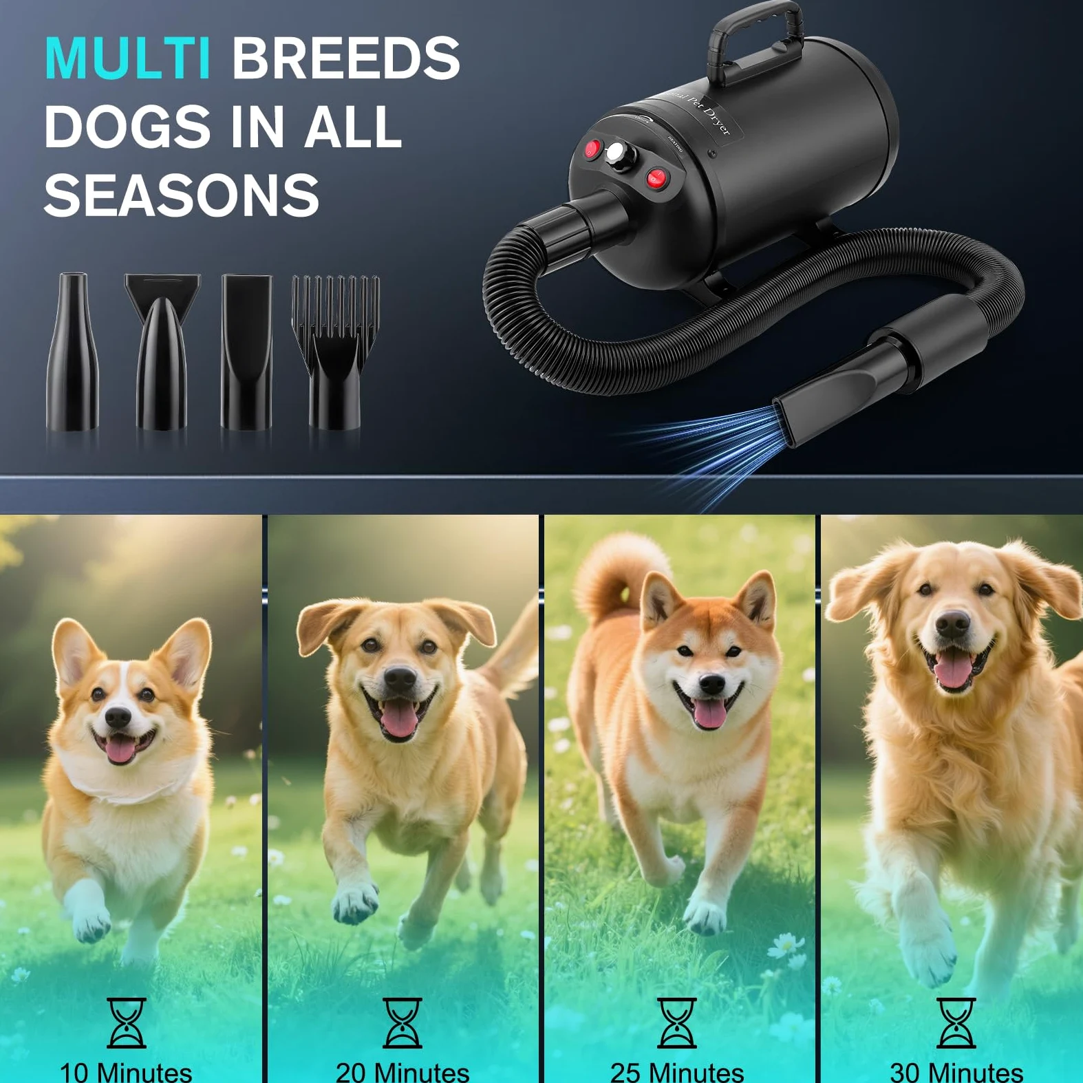 Secador de Pelo de Perro Blaster 5.2 CV / 3800 W, Profesional Secador de Pelo para Mascotas con 4 Boquillas, Velocidad y Calor Ajustables