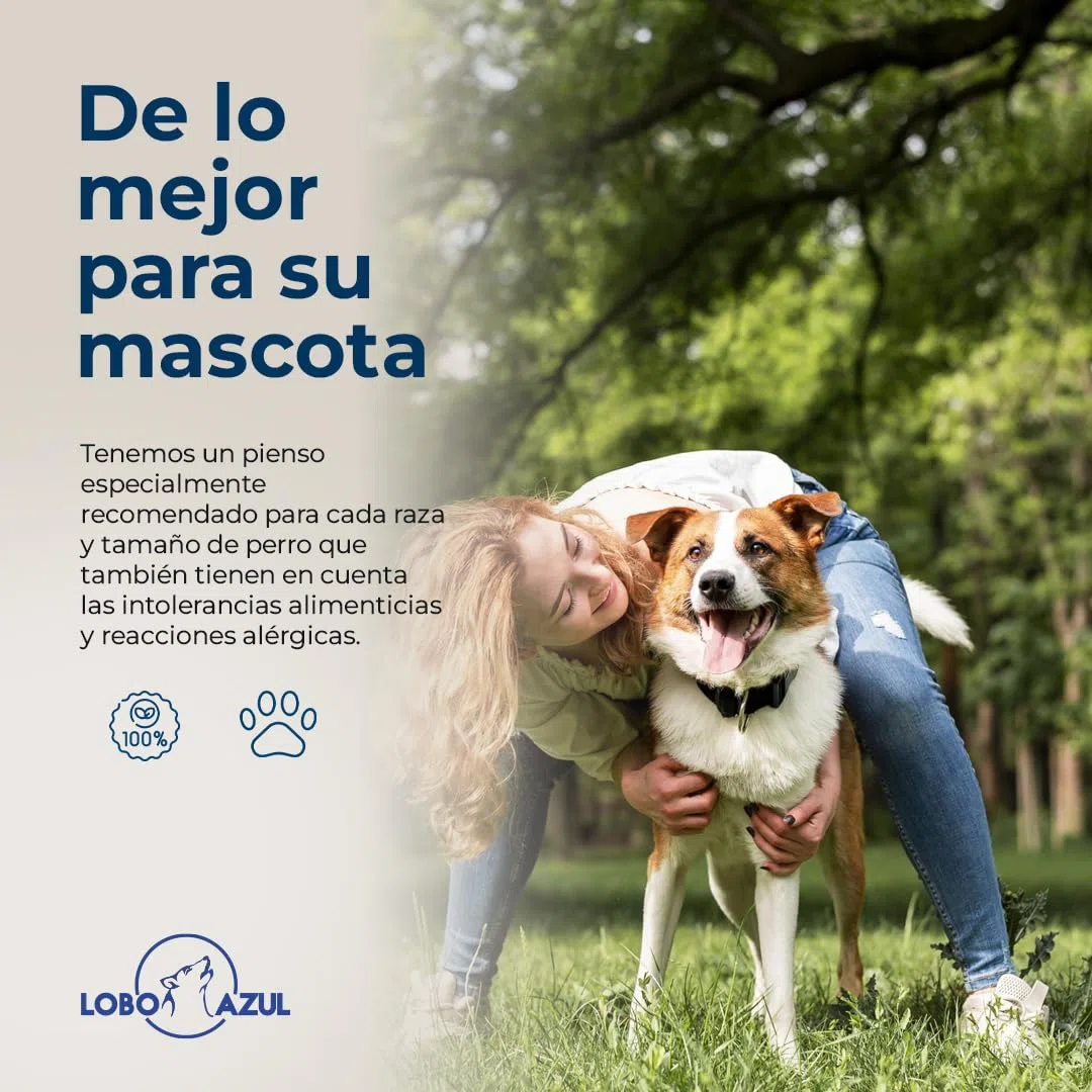 Pienso Super Premium Buey - Alimento para Perros Adultos con Buey, Pollo, Salmón, Atún y Aceite de Salmón - Natural - Sin Gluten - Actividad Alta - Lobo Azul