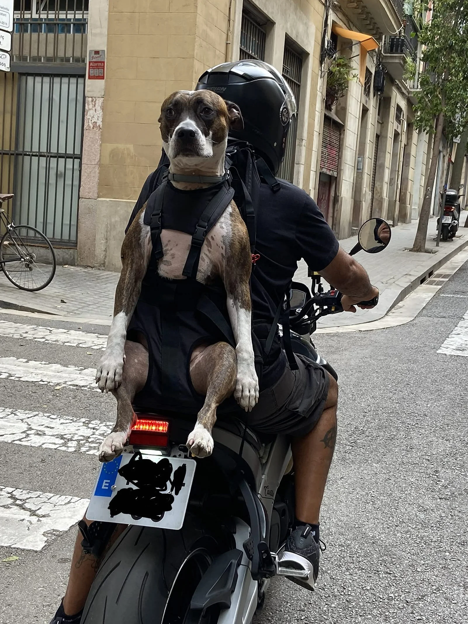 Mochila para perros XXL patentada, para perros macizos, compactos y fuertes de 16-30 kg de peso con sistema de transporte de 4 correas patentado